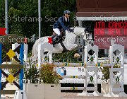 Cancogni Berlin's Pride GioCav2013 S5 3768 : Berlin's Pride, Campionati Italiani Giovani Cavalli, Cancogni Daniele, Cattolica, ph Stefano Secchi ©